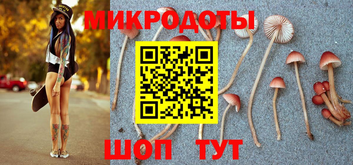 Гагарин  Галлюциногенные грибы GOLDEN TEACHER  Галлюциногенные грибы MAGIC MUSHROOMS  Вход с VPN 